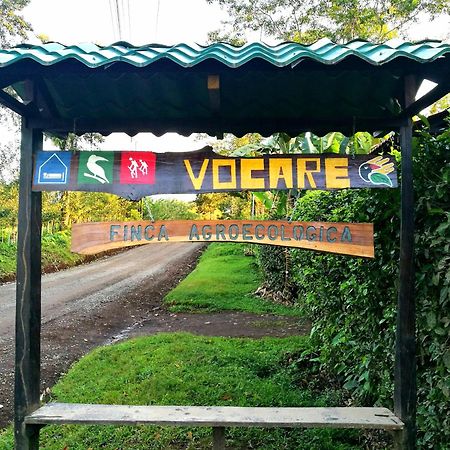 Vocare Finca Agroecologica Upala Exteriör bild
