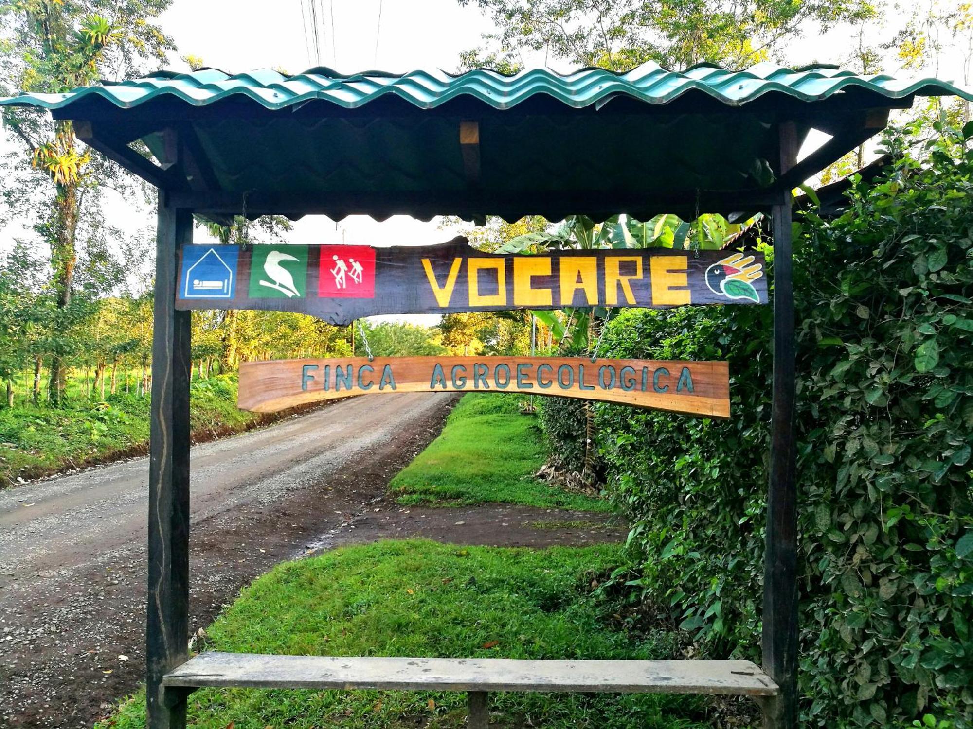 Vocare Finca Agroecologica Upala Exteriör bild