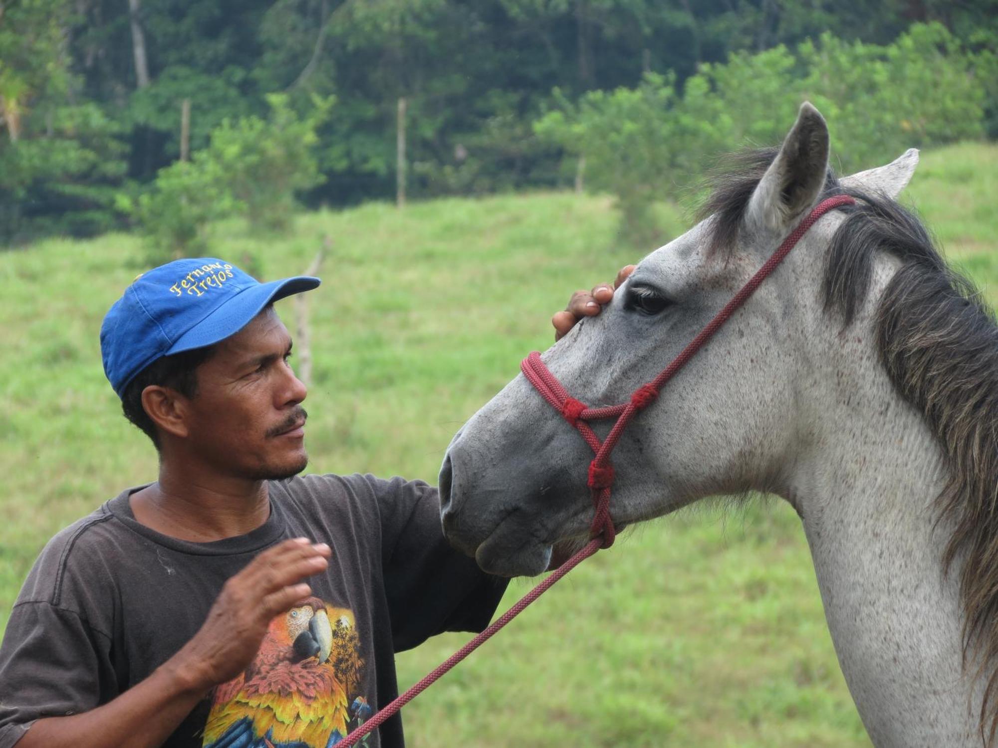 Vocare Finca Agroecologica Upala Exteriör bild