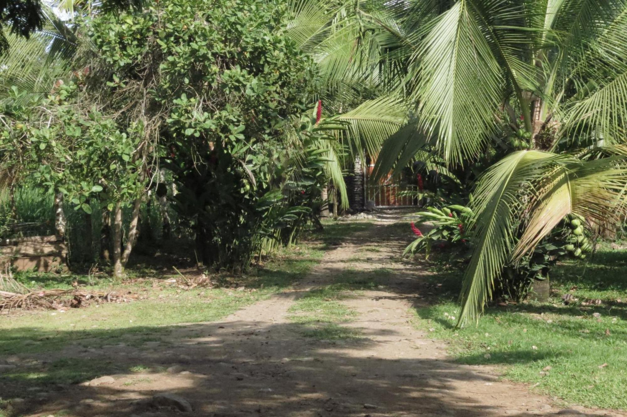 Vocare Finca Agroecologica Upala Exteriör bild