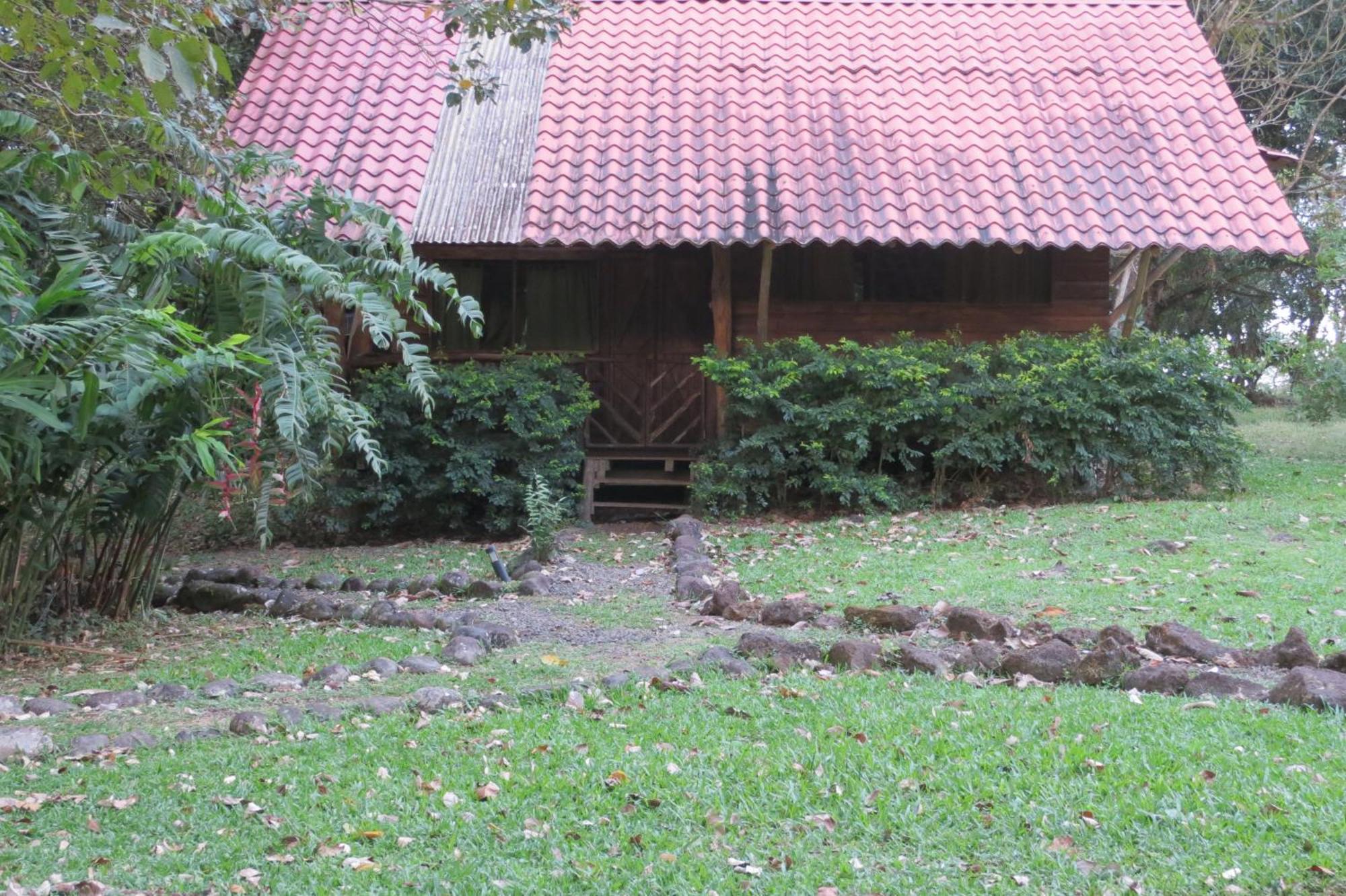 Vocare Finca Agroecologica Upala Exteriör bild