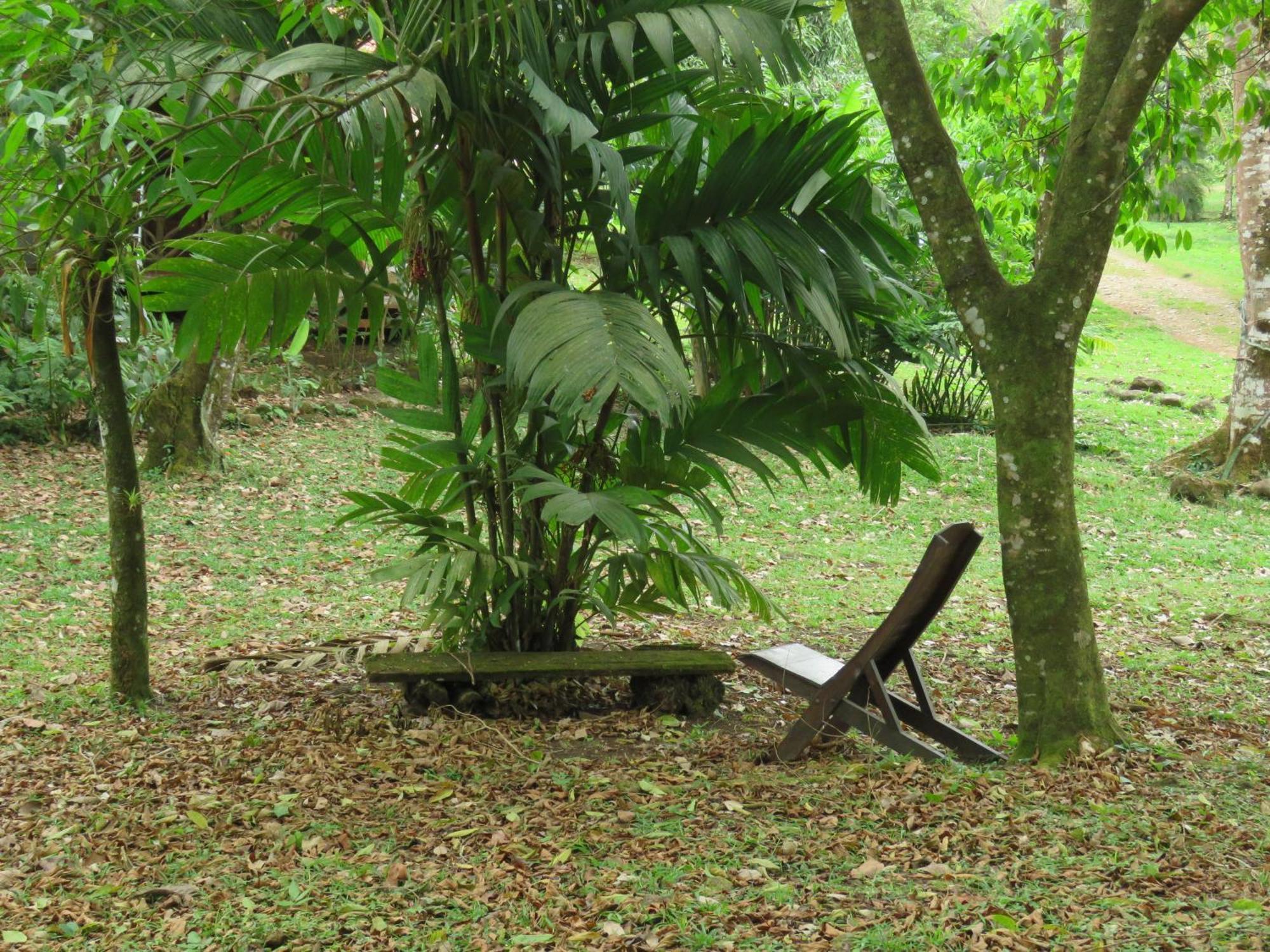 Vocare Finca Agroecologica Upala Exteriör bild